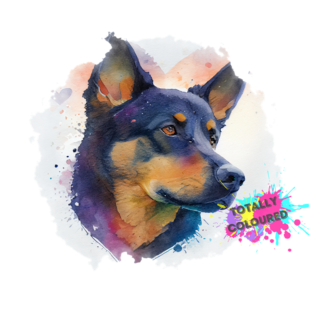 Australian kelpie 1 totally coloured