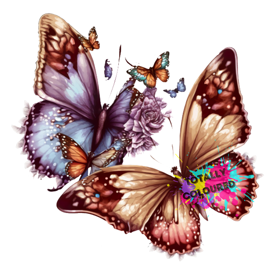 butterflies-4-decal-totally-coloured